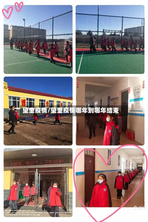望奎疫情/望奎疫情哪年到哪年结束-第3张图片