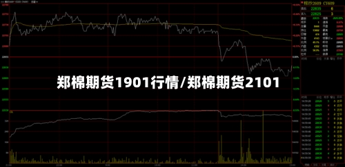 郑棉期货1901行情/郑棉期货2101
