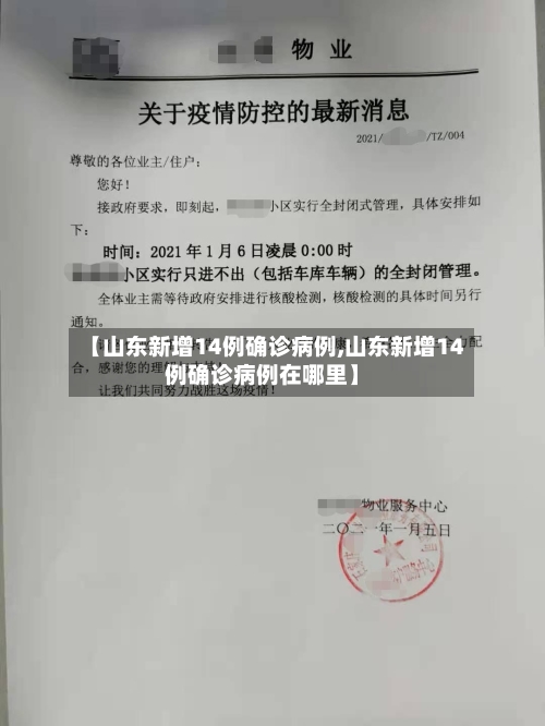 【山东新增14例确诊病例,山东新增14例确诊病例在哪里】-第2张图片