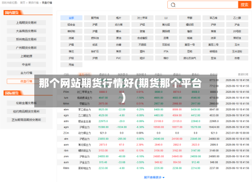 那个网站期货行情好(期货那个平台)
