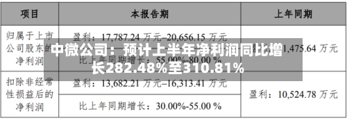 中微公司：预计上半年净利润同比增长282.48%至310.81%-第2张图片