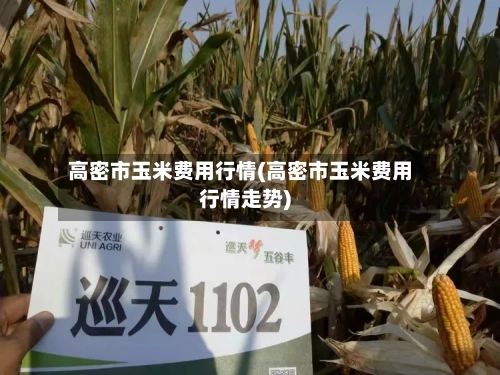 高密市玉米费用行情(高密市玉米费用行情走势)