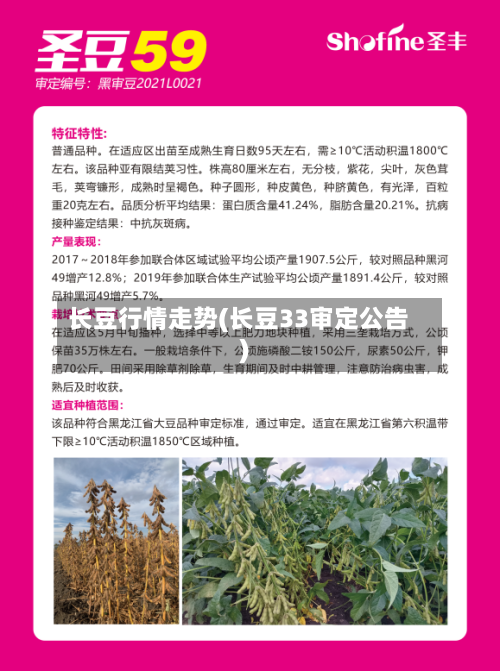 长豆行情走势(长豆33审定公告)