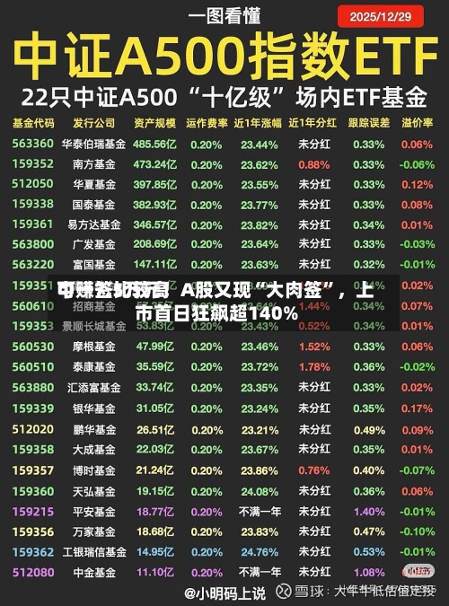 中一签比较高可赚7.5万元！A股又现“大肉签”	，上市首日狂飙超140%-第2张图片