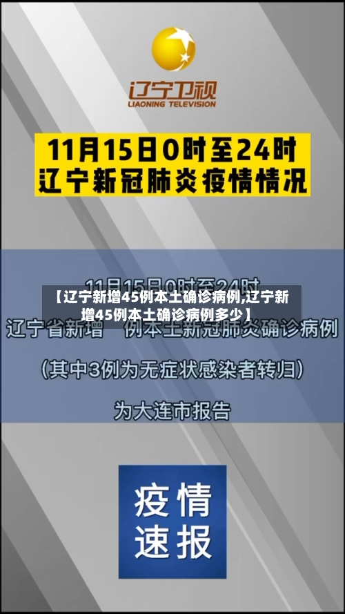 【辽宁新增45例本土确诊病例,辽宁新增45例本土确诊病例多少】-第2张图片