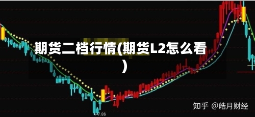 期货二档行情(期货L2怎么看)-第3张图片