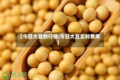 【今日大豆的行情,今日大豆实时费用】-第2张图片