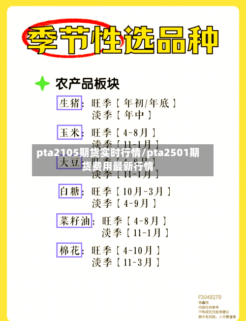 pta2105期货实时行情/pta2501期货费用最新行情