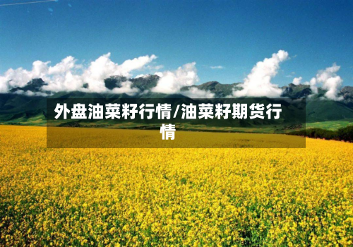 外盘油菜籽行情/油菜籽期货行情-第2张图片