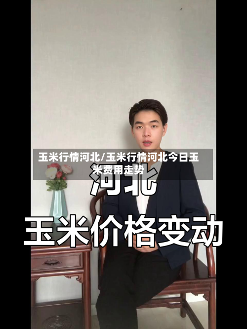 玉米行情河北/玉米行情河北今日玉米费用走势