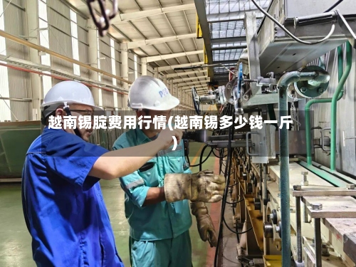 越南锡腚费用行情(越南锡多少钱一斤)