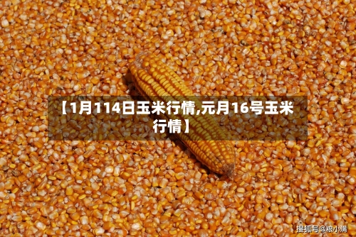 【1月114日玉米行情,元月16号玉米行情】-第2张图片