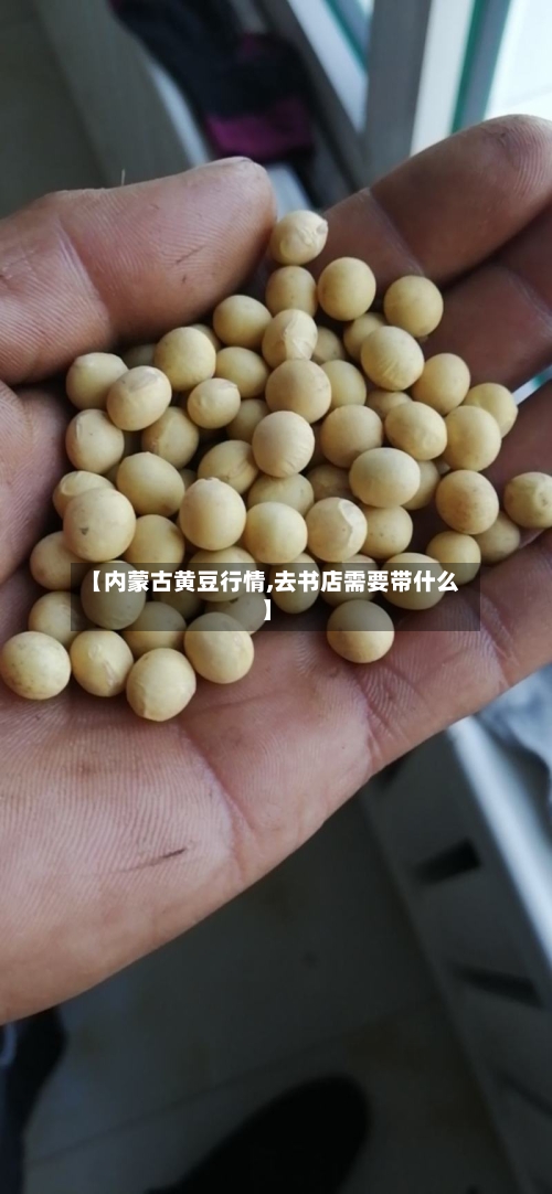 【内蒙古黄豆行情,去书店需要带什么】-第2张图片