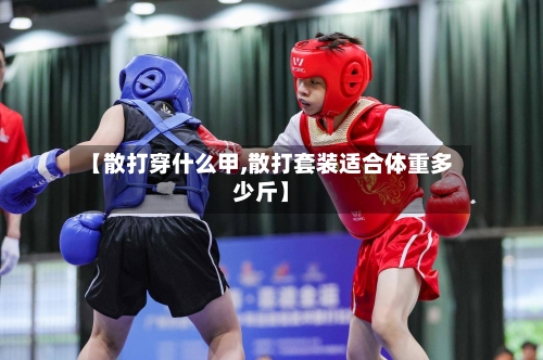 【散打穿什么甲,散打套装适合体重多少斤】-第2张图片