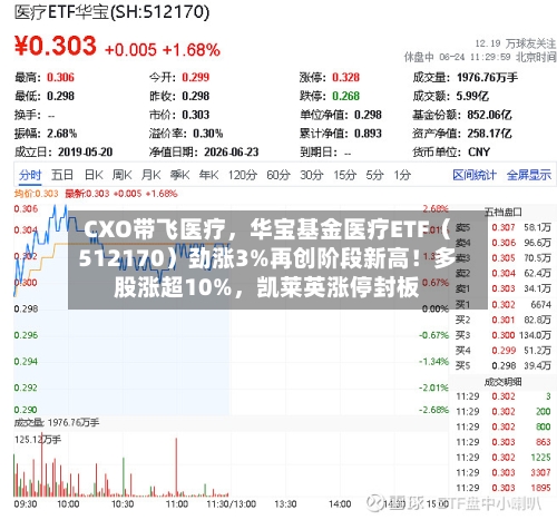 CXO带飞医疗，华宝基金医疗ETF（512170）劲涨3%再创阶段新高！多股涨超10%，凯莱英涨停封板-第3张图片