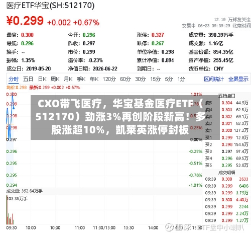 CXO带飞医疗，华宝基金医疗ETF（512170）劲涨3%再创阶段新高！多股涨超10%	，凯莱英涨停封板-第2张图片