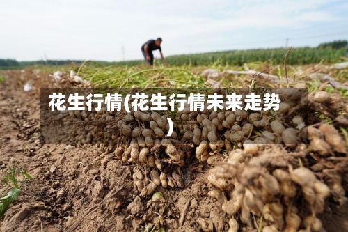 花生行情(花生行情未来走势)-第3张图片