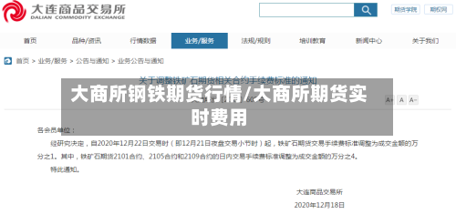 大商所钢铁期货行情/大商所期货实时费用-第2张图片