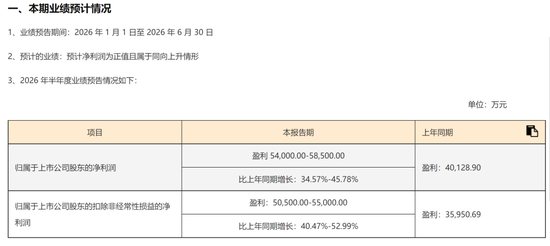 A股罕见！周六，5家创业板公司发布业绩预告！301536	，净利预增约6倍